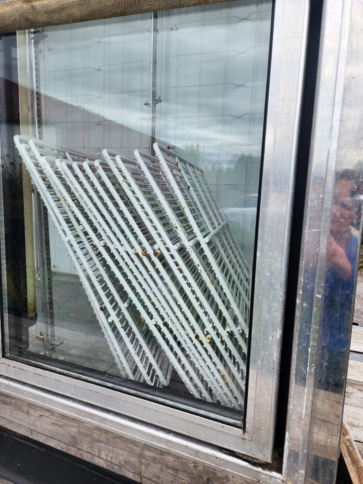 FOGEL VERTICAL 4 SECTION GLASS DOOR REFRIGERATOR FM-100-RRGM, 115V - Image 5